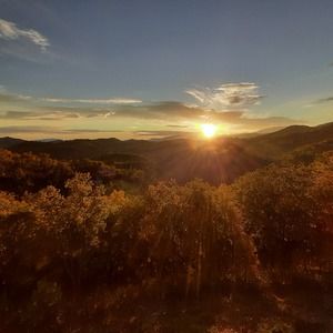 Meet your Posher, Casie